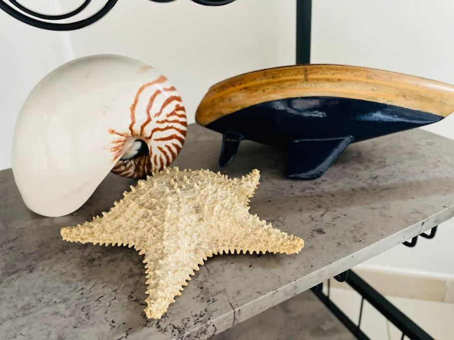 La Venezia'S Studio Flat Livorno Kültér fotó